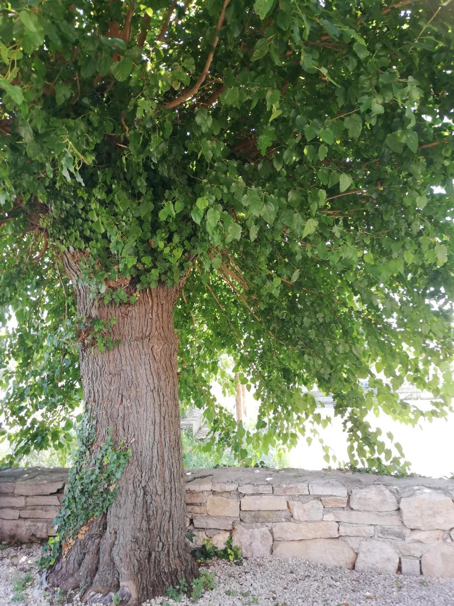 Lory Sveti Lovrec Pazenaticki Exterior foto
