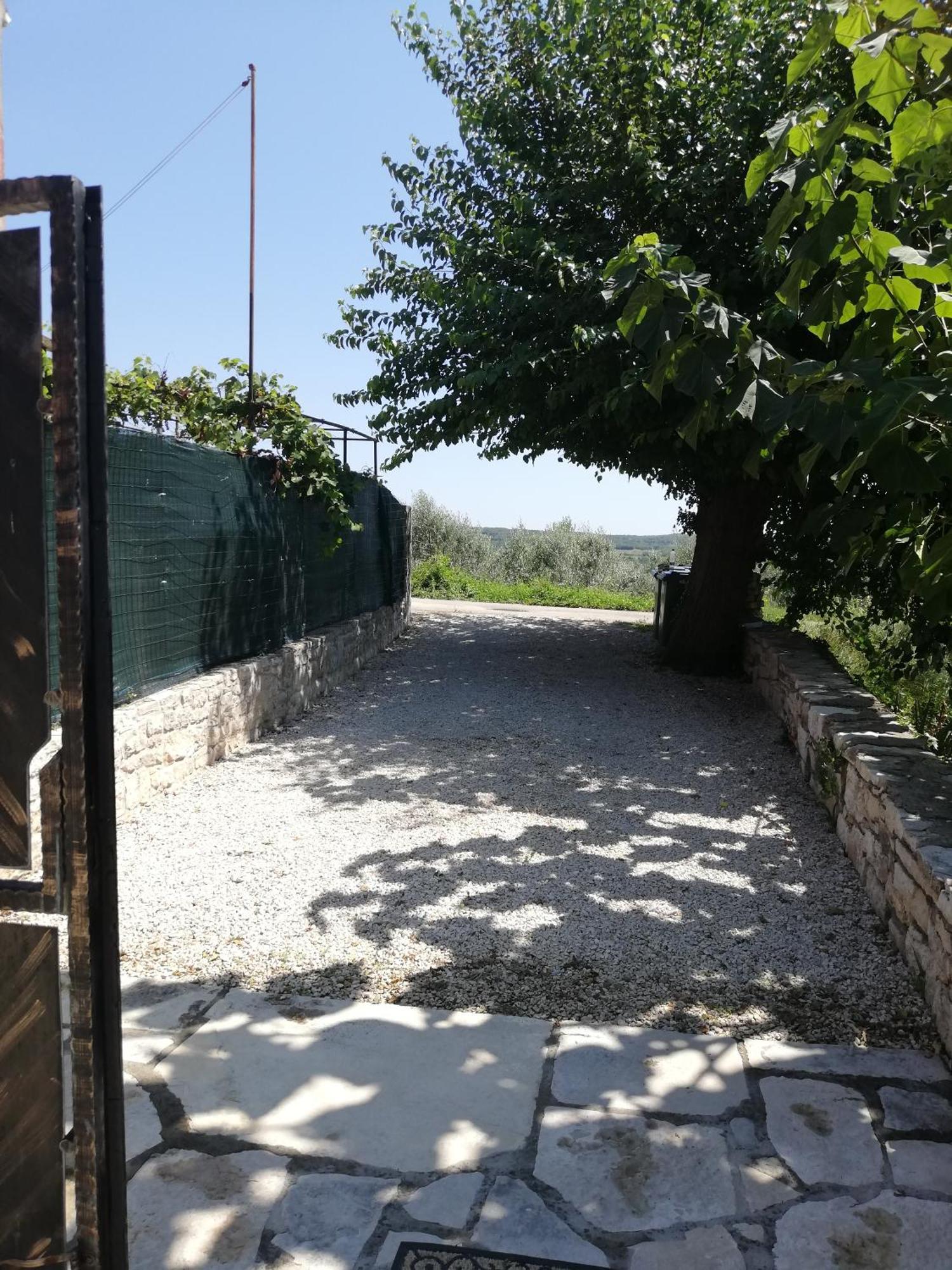 Lory Sveti Lovrec Pazenaticki Exterior foto